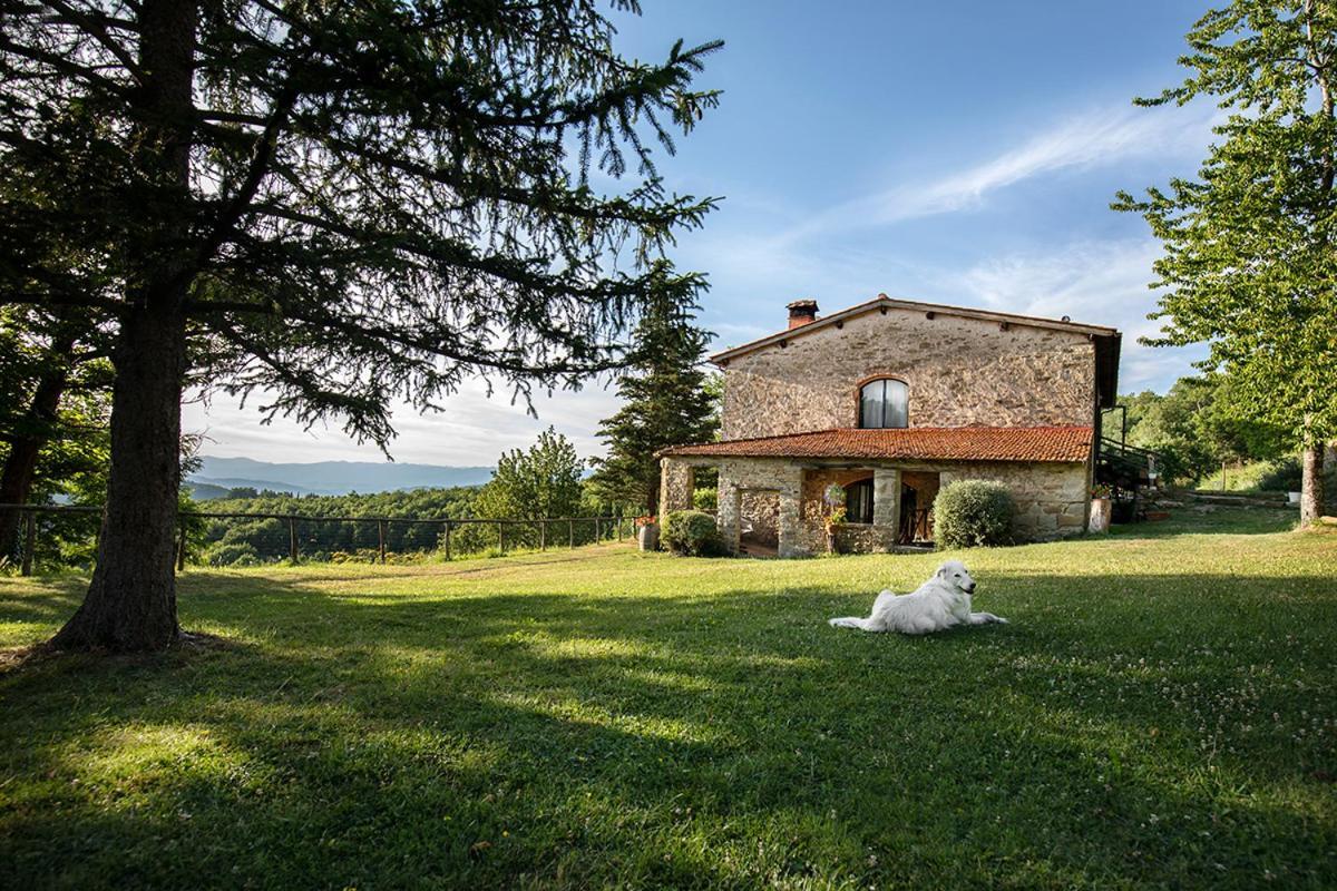 Piancasalemia Apartamento Londa Exterior foto